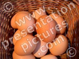 eggs in one basket - powerpoint graphics