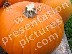 pumpkin - powerpoint graphics
